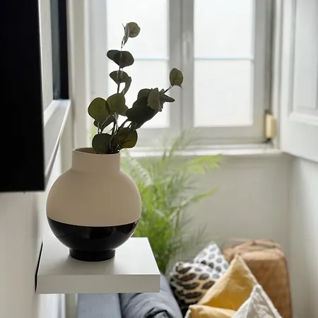 Cozy In Graça I
